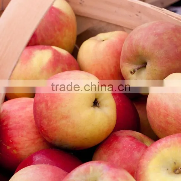 2015 Chinese Fresh Sweet Fuji Apple With Good Quality photo-3