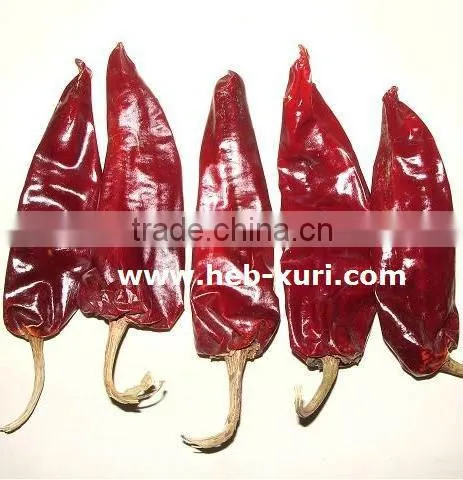 New Crop Dry Red Chili Peppers photo-3