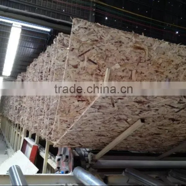 Marine OSB For Wall External Use, Osb Board for Chile 9.5mm, 11mm photo-2