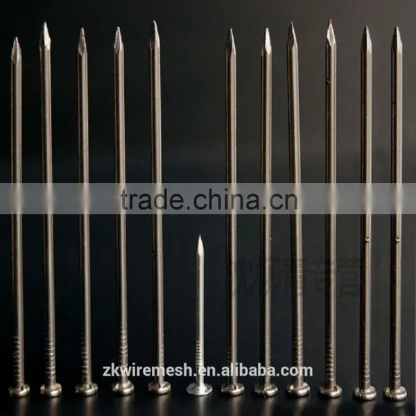 Common Nail/ Common Wire Nail/common Iron Nails photo-6