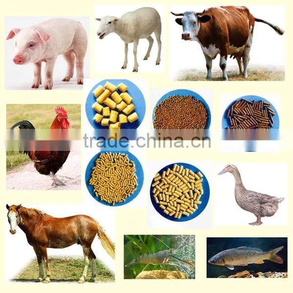 for Cooling Feed Pellets Pendulum Counter Flow Cooler photo-6