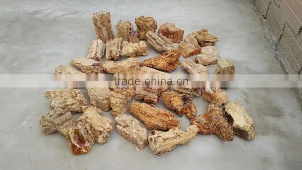 Colombian Amber (Copal) - Raw
