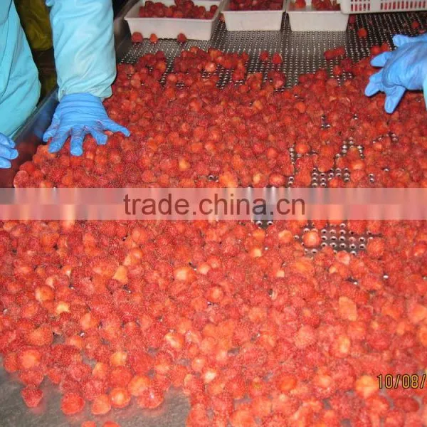 IQF Strawberry photo-2