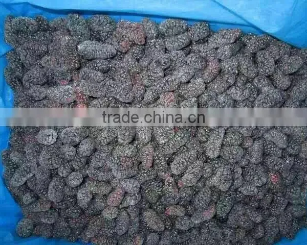 Top Quality Frozen Mulberry From Factory photo-5