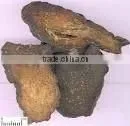 Herba Cistanches P.e