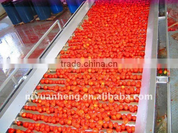 70G-4500G China Hot Sell Price Canned Tomato Paste 28-30%brix Plant photo-5