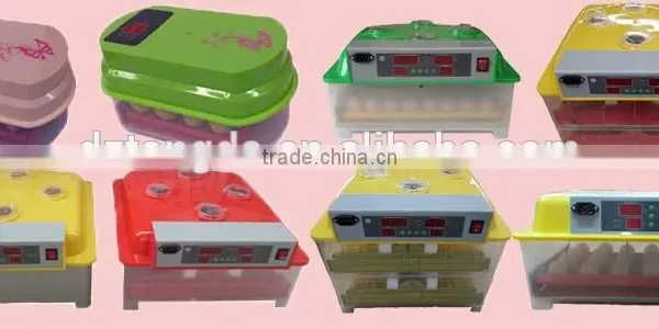 TD-48 Full Automatic Mini Incubator for Parrot photo-5