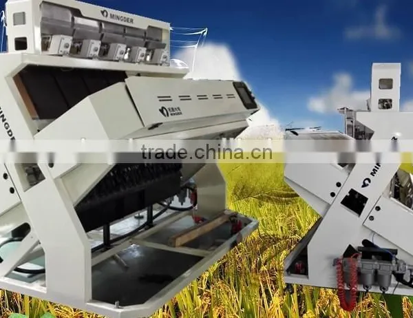 Automatic Color Sorter Machine, Grain Sorting Equipment, photo-5