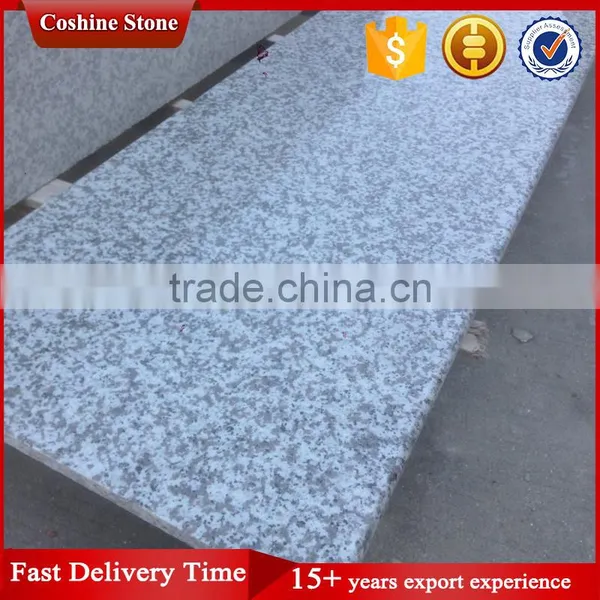 Popular Bala White G439 Grey Granite Countertop photo-2