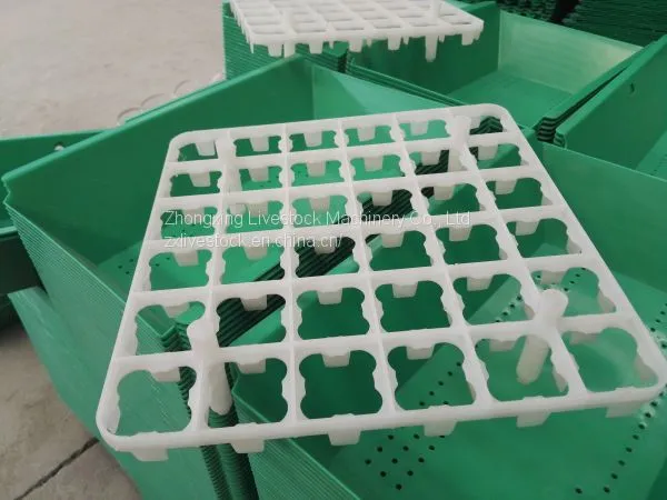 Plastic Egg Tray (chicken Eggs, Duck Eggs, Breeding Eggs) photo-4