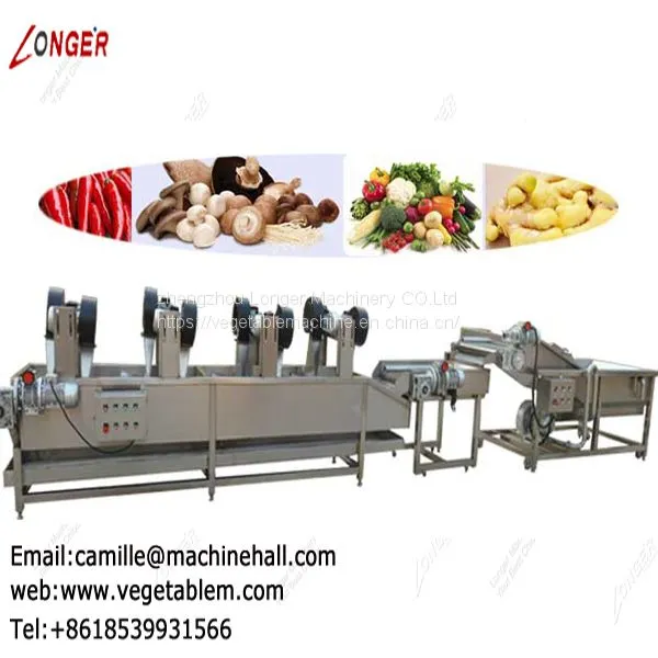 Tomato Washer and Dryer|Fruit and Vegetable Washing and Drying Machine|Strawberry Cleaning Line photo-5