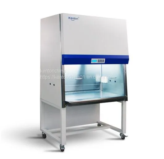 Laboratory Equipment Manufacturers Supply Biosafety Cabinet