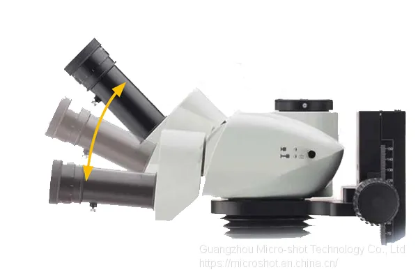 Scientific Grade Stereo-fluorescence Microscope MZX81 photo-4