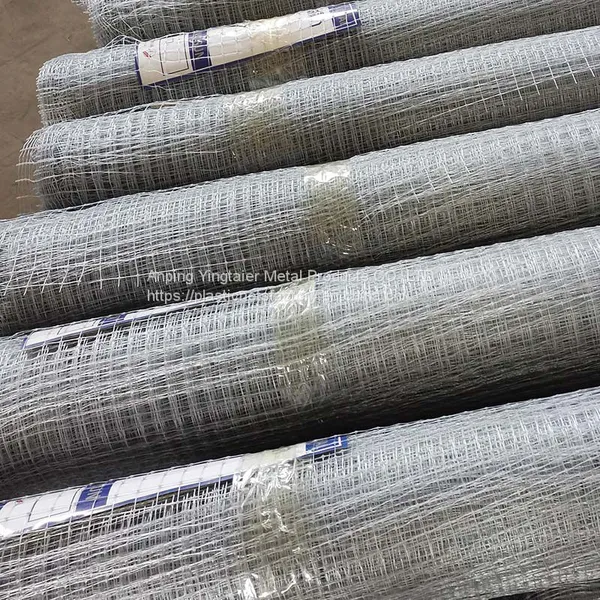 Chicken Fence Netting photo-3