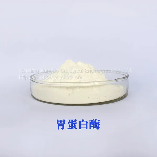 PEPSIN CAS：9001-75-6 photo-2