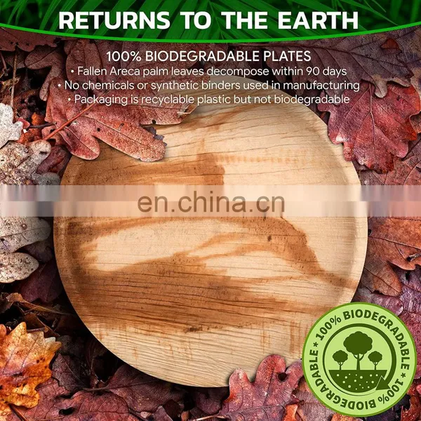 Biodegradable Natural Bamboo Square Areca Disposable Palm Leaf Plates photo-2