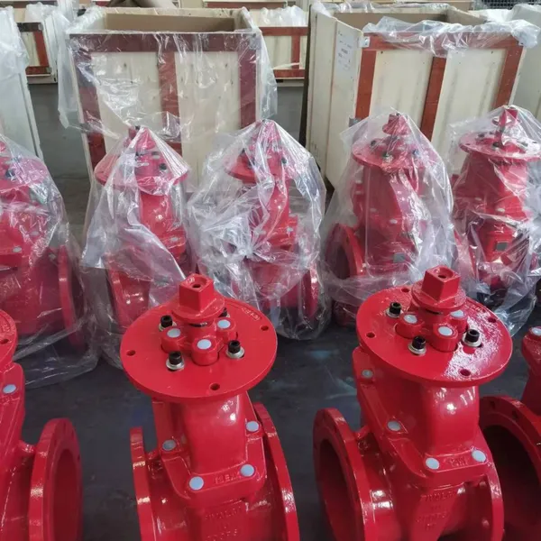 300PSI-NRS Type Flanged End Gate Valve,UL/ULc Listed,FM Approved photo-4