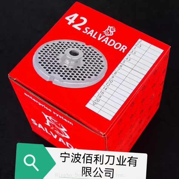 China Factory of Salvador Salvinox Meat Grinder Mincer Plates Knives Cutters Discs #12 #22 #32 #42 Hub Plates photo-5