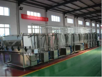 Tunnel Type Pasteurizer photo-5