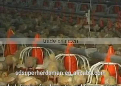 Poultry Farming Equipment Pajisjet e Pulave photo-2