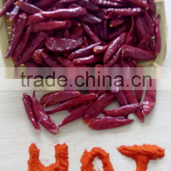 China New Crops,dry Hot Red Chaotian Tianying Tianjin Chilli photo-4