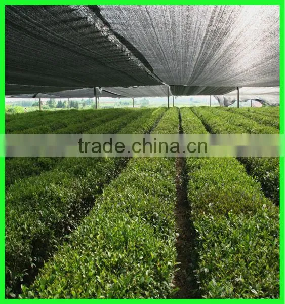 High Quality Agricultural Green Sun Shade Net With the Shade Rate From 20% to 95% photo-3