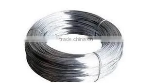 Hot Sale Galvanized Patented Steel Wire photo-2