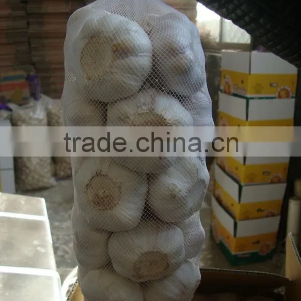 Chinese New Garlice Price photo-2