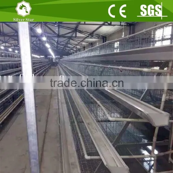 Steel Structure Chicken House for A Type Layer Chicken Cage of Poultry Equipment photo-3