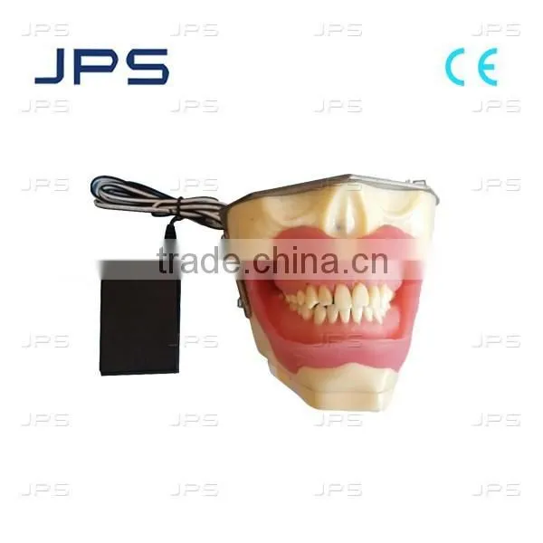 Dental Teeth Model Acrylic Teeth For Practice Extraction+Injection SUG2005-UL-SP