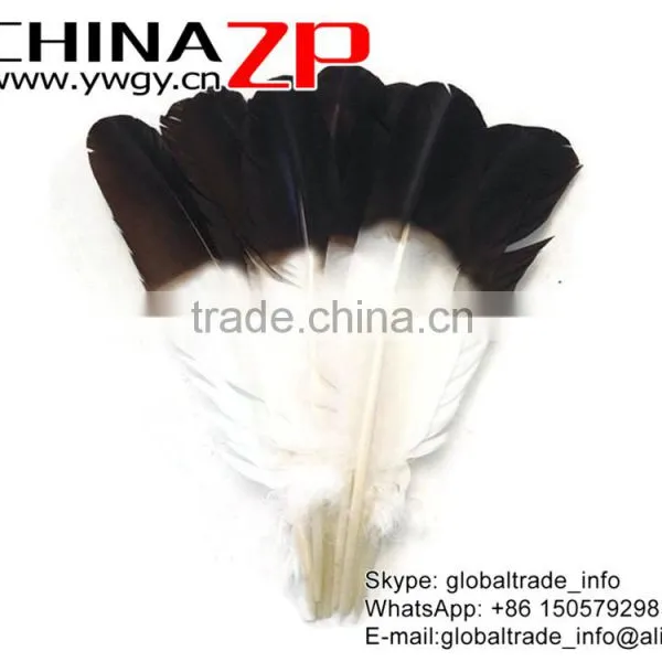 CHINAZP Wholesale Cheap Brown Half Dipped Bicolourable Turkey Feathers for Fashion Decorations photo-4
