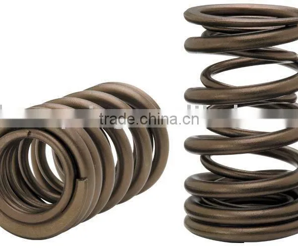 Valve Spring