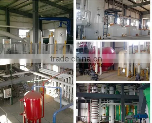 Almond Oil Extraction Machine/soya Bean Oil Extraction Machine photo-2
