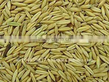 QATS - KILN DRIED HULLED OATS