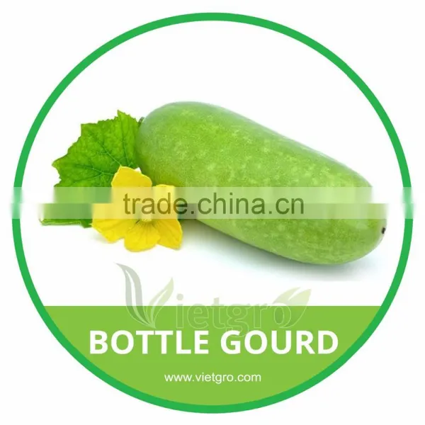 HIGH QUALITY FRESH BOTTLE GOURD