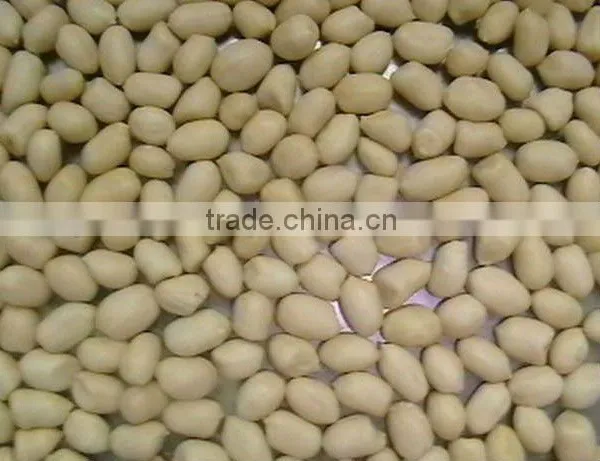 Round Blanched Peanut Kernels 2 *12.5kgs Vaccum Bag/carton