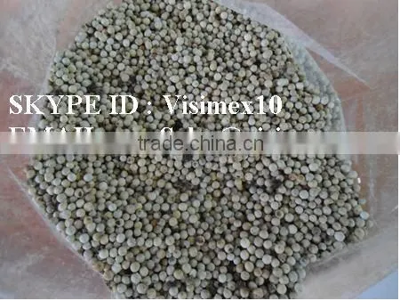 WHITE PEPPER 630 G/L FROM VIETNAM, HIGH QUALITY WITH BEST PRICE photo-5