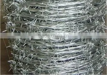 Hot Dipped Galvanized Barbed Wire Price per Roll Barbed Wire Fence Design photo-2