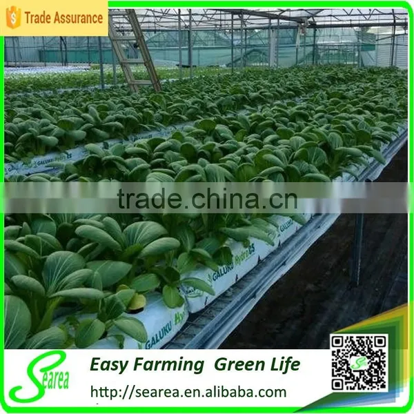 Rock Wool Cube for Greenhouse Hydroponic photo-2