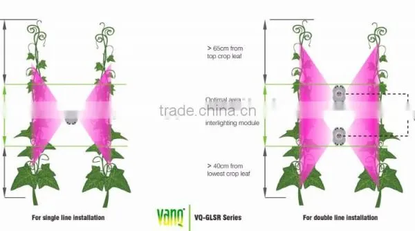 75w Grow Lamps for Greenhouse Commercial Palnts photo-4