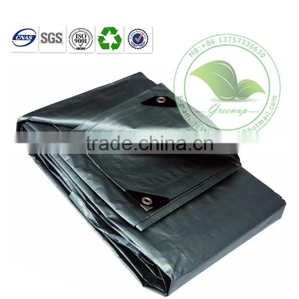 Cheap Heavy Duty UV Protection Tarpaulin Cover for Truck Body photo-3