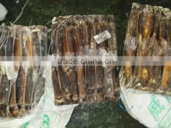 Frozen Illex Squid From CHINA 200-300G photo-4