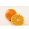 Citrus Processing Production Line Equipment