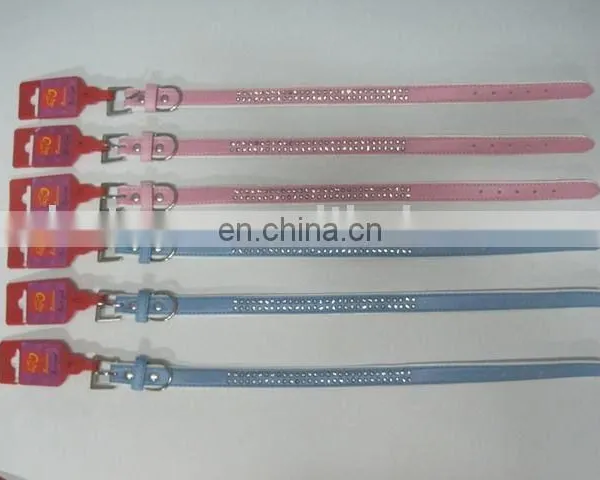 Pet Collar & Leash