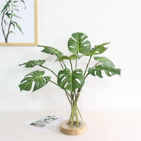 High Quality Artificial Plant Photography Props Real Touch Latex Turtle Leaf photo-2