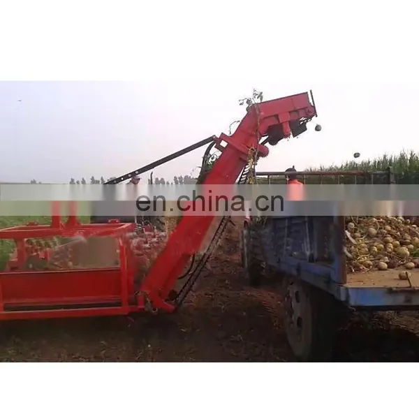 With Picking Equipment Tractor Mounted Potato Onion Shallot Garlic Harvester photo-5