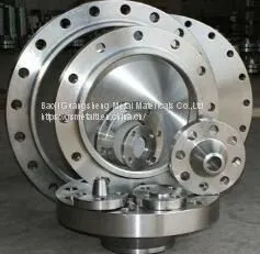 Titanium Flanges