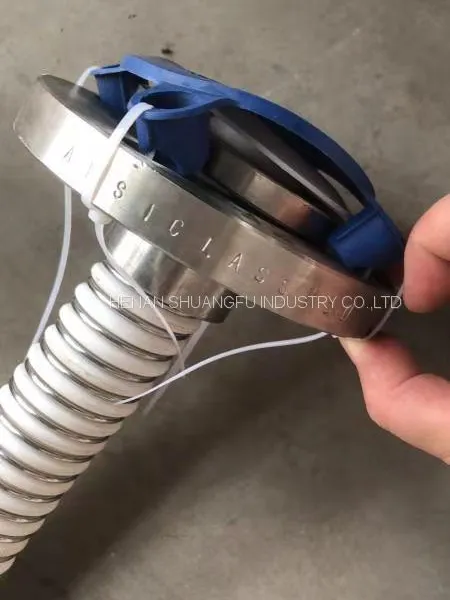 2'' PTFE Hose With SS316 Flange