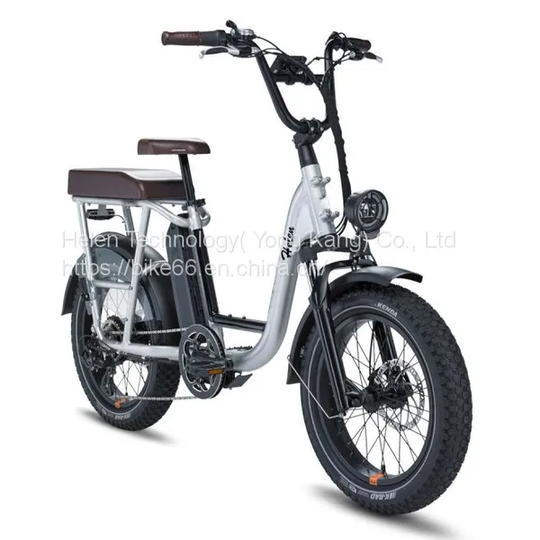 1000W Big Power Electric Folding Bike Electric Bicycles