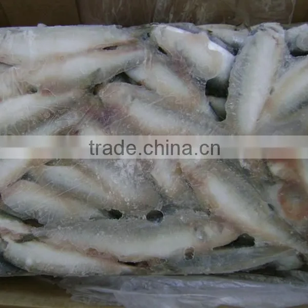 Frozen Sardine From Chinese Manufacture photo-3